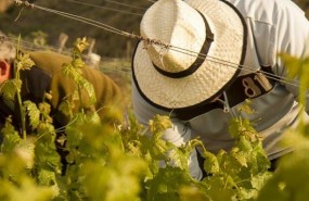 ep bodega mariscalasla zepalic encinareslos rios alberchecofio