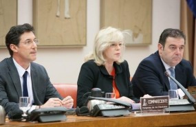 ep corina cretu comisariapolitica regional