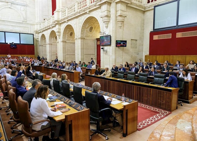 ep el pleno del parlamento andaluz