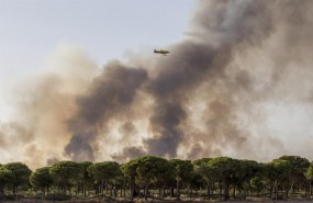 ep imageneste domingoincendio declaradomoguer huelva