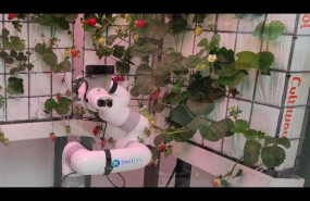 ep la empresa catalana enkitek disena un robot para la recoleccion de frutas y verduras