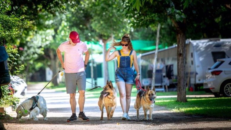 ep las reservas de campings con mascotas en espana crecen un 60 para este verano segun la feec ep las reservas de campings con mascotas en espana crecen un 60 para este verano segun la feec