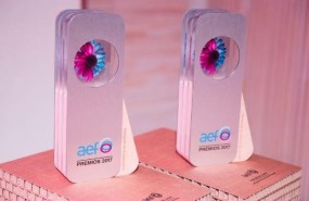ep premiosla asociacion espanolafundaciones