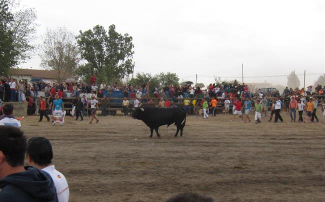 ep torola pena 2016tordesillas