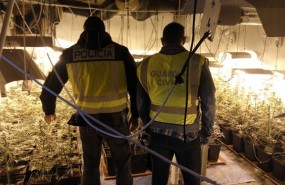 ep un agentela policia nacionalaguardiacivilun cultivo indoor