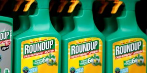 roundup roundup