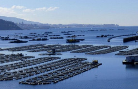 1581167932 hacienda iva venta bateas