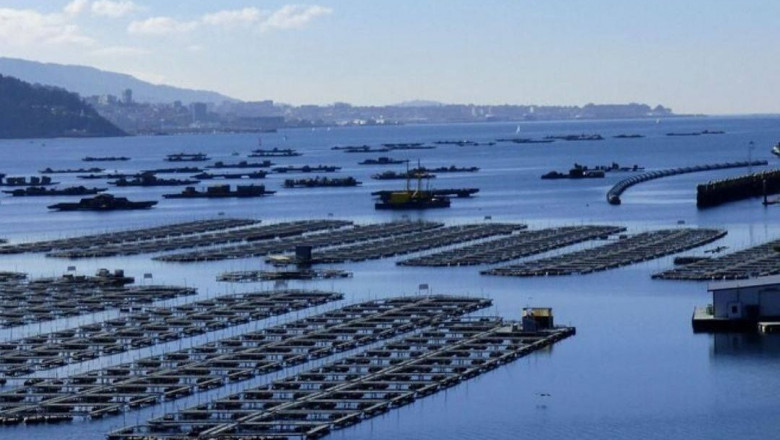 1581167932 hacienda iva venta bateas