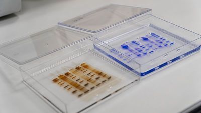 1634742186 diater minopt 1 