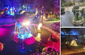 a el bosque encantado a el bosque encantado