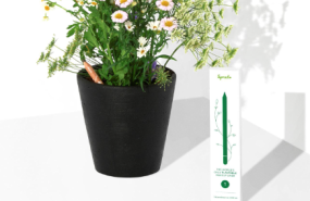 captura de pantalla 2022 09 30 a las 122913