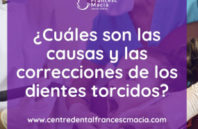 captura de pantalla 2024 07 10 a les 192840 1