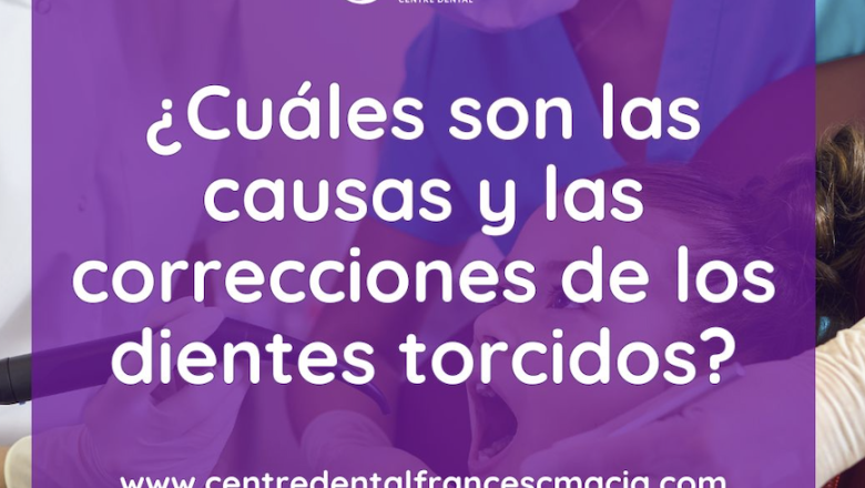 captura de pantalla 2024 07 10 a les 192840 1