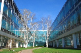 CIGNA12