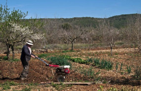 ep archivo   agricultor en el campo 20250718162403