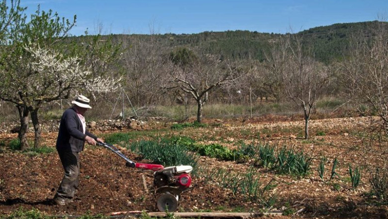 Archivo - Agricultor en el campo | LA UNIÓ - Archivo ep archivo agricultor en el campo 20250718162403