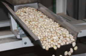 ep archivo   cooperativas agro alimentarias castilla la mancha preve una cosecha historica de 8900