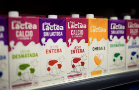 ep archivo   leche en el lineal de dia