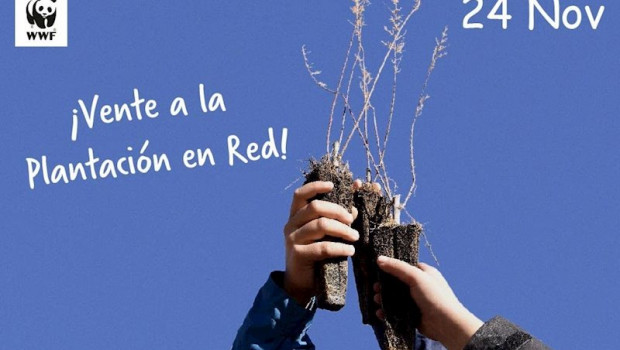 ep campana de plantacion en red de wwf que el proximo domingo 23 de noviembre se celebrara en 11