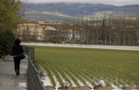 ep cultivos anegados tras las inundaciones producidas por el desbordamiento del rio genil causado