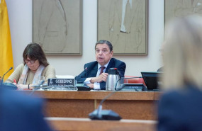 ep el ministro de agricultura pesca y alimentacion luis planas c comparece ante la comision de