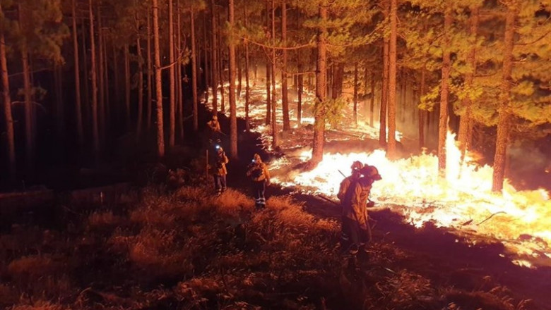 Incendio de Gran Canaria durante la pasada noche | CEDIDO/CABILDO DE GRAN CANARIA ep incendio de gran canaria durante la pasada noche
