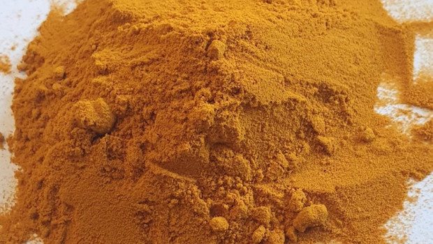 ep la curcumina es mejor absorbida por el cuerpo gracias a la nanotecnologia