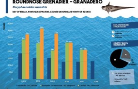 ep limitescapturasespeciesaguas profundas