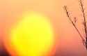ep sol ep sol