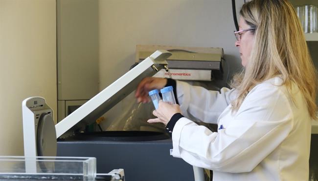 Una investigadora de la UIB | UIB - Archivo ep una investigadorala uib