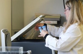 ep una investigadorala uib