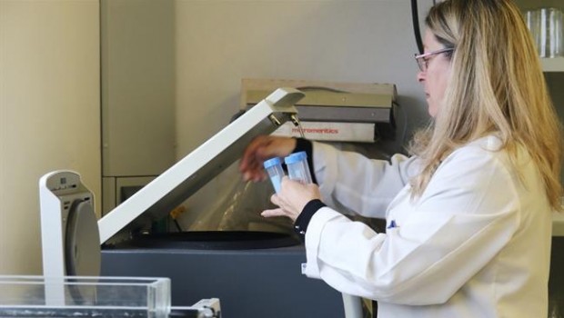 ep una investigadorala uib