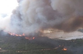 incendio donana portada