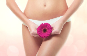 shutterstock 570204082 20231114194648 shutterstock 570204082 20231114194648