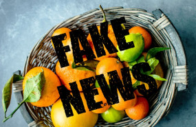 1584608412 5e732f2da5ed01584607087 5e732f2da5e7b