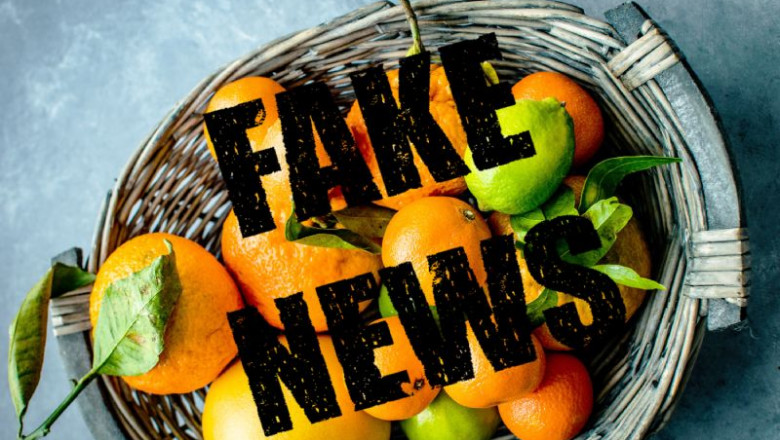 1584608412 5e732f2da5ed01584607087 5e732f2da5e7b