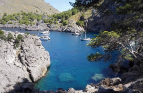 1591265116 barcosanen