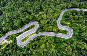 1593154957 greenplan1a