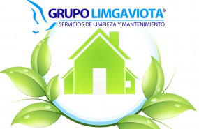 1626343903 puligaviota consejos de higiene y limpieza del hogar 1626343903 puligaviota consejos de higiene y limpieza del hogar