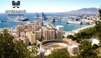 1637235363 ambiseint