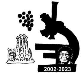 captura de pantalla 2023 11 07 a les 134244 captura de pantalla 2023 11 07 a les 134244