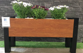 captura de pantalla 2024 04 10 a las 51234 am 1 captura de pantalla 2024 04 10 a las 51234 am 1