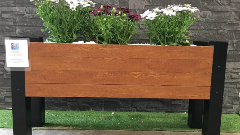 captura de pantalla 2024 04 10 a las 51234 am 1