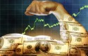 cbdolar short1 cbdolar short1