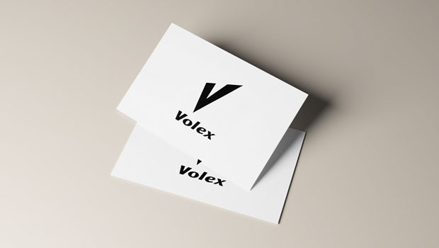 dl volex group aim electronics military manufacturing supplies logo