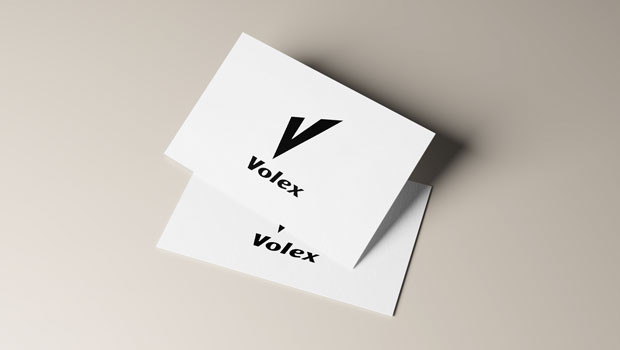 dl volex group objectif électronique fournitures de fabrication militaire logo