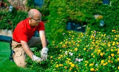 Acciona Service trabajador mantenimiento de jardines | ACCIONA ep acciona service trabajador mantenimientojardines