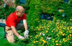 ep acciona service trabajador mantenimientojardines