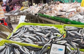 ep anchoacantabrico bocarte pescado alimentacion supermercado ipc
