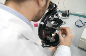 ep archivo   laboratorio investigacion medicina